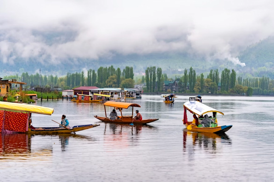 Best Time to Visit Kashmir