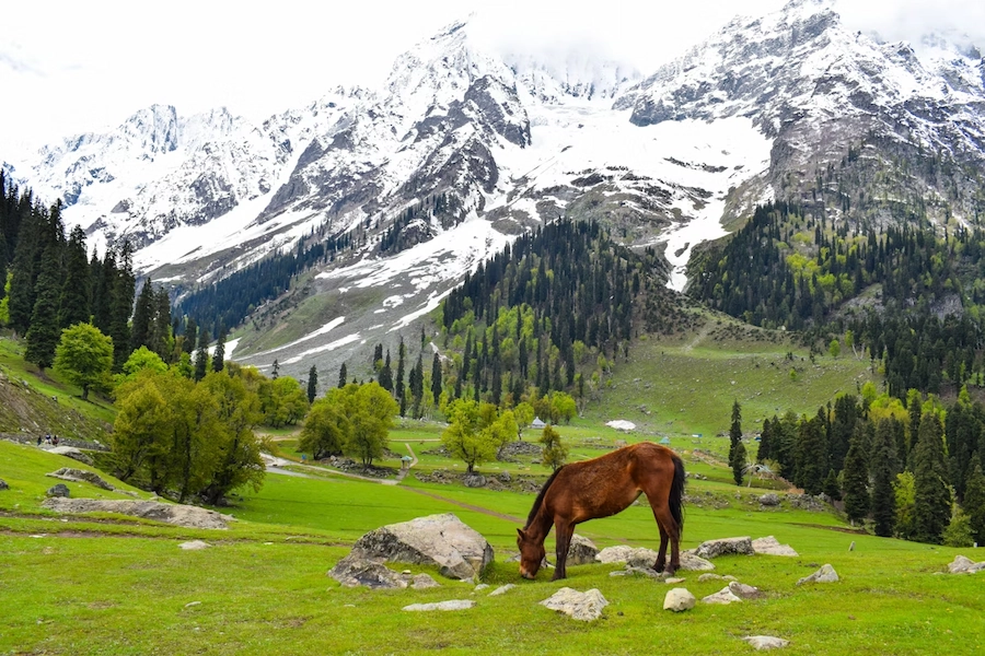 Sonmarg Tour